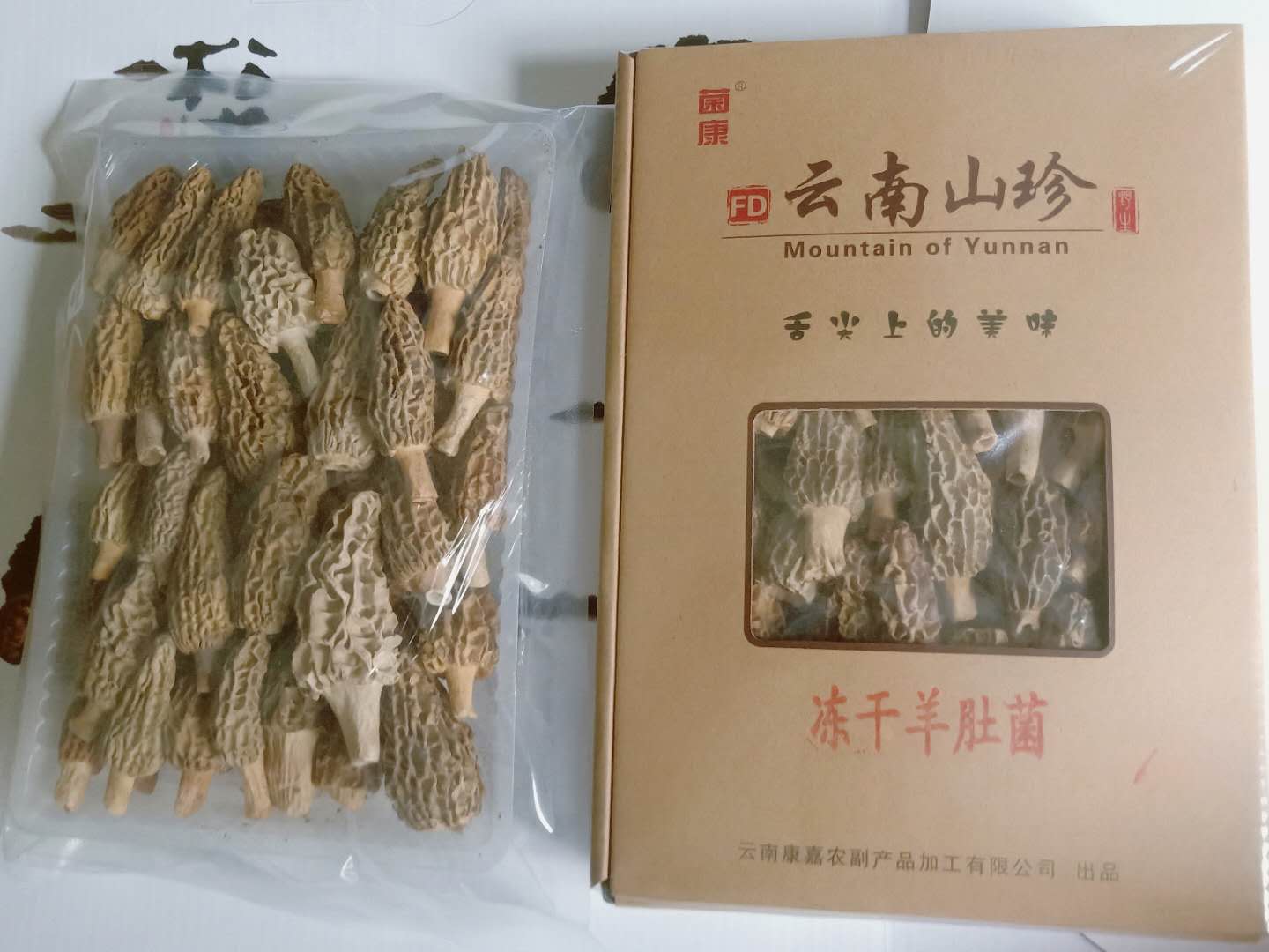 凍干牛肚菌